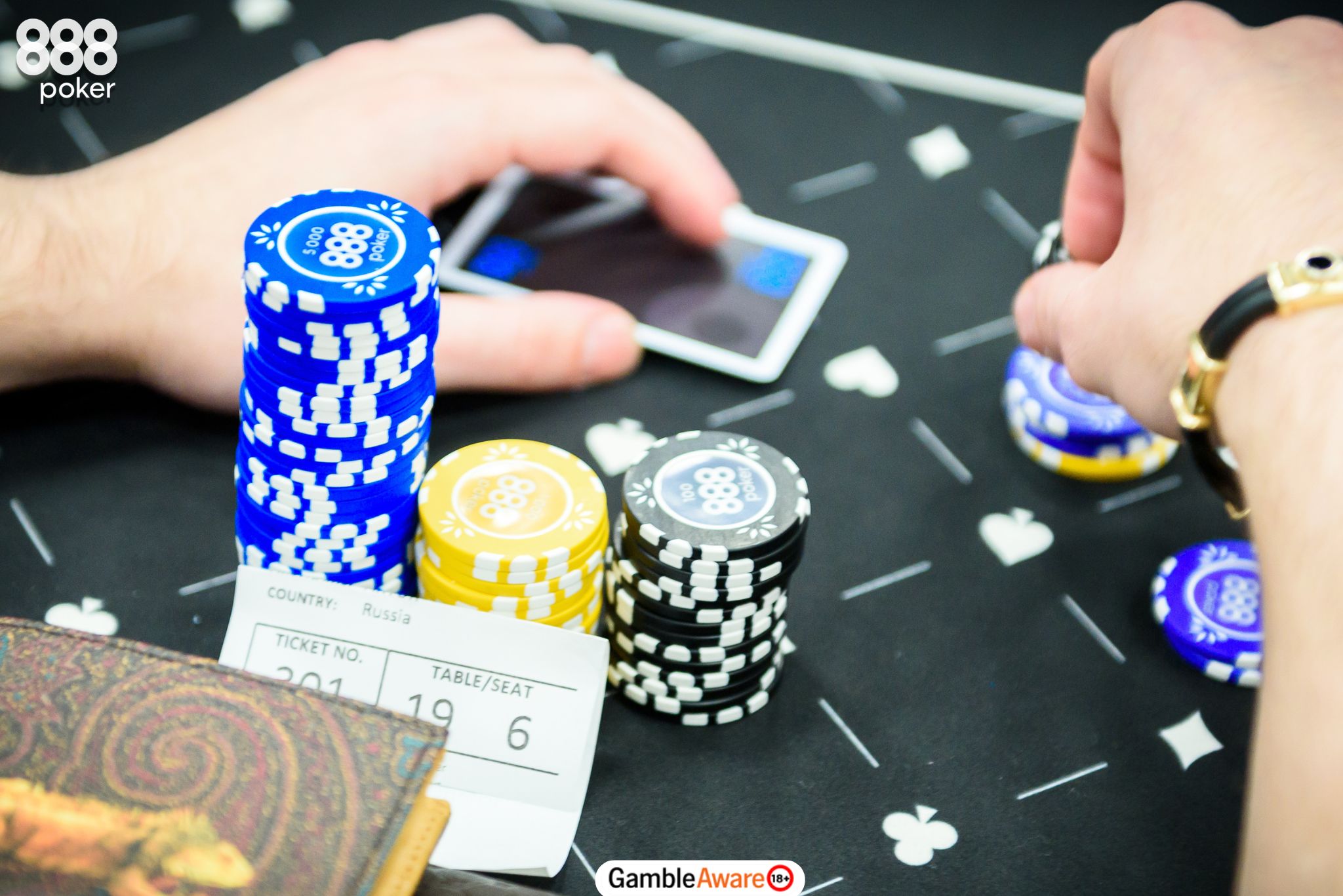 Why Do People Raise in Poker?